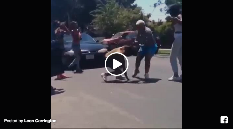crazy girl fight