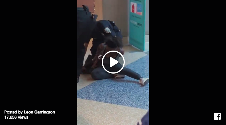 brooklyn girl fight