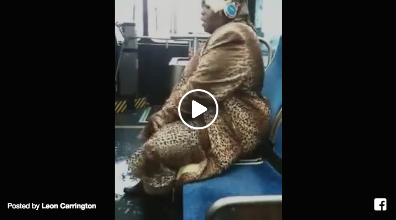 crazy lady on the bus