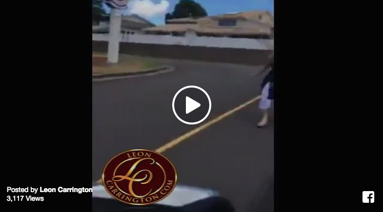 crazy mother road rage