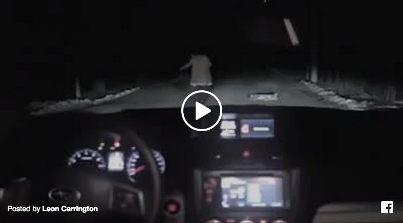 woman hits dog with car