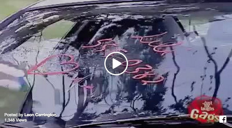 woman windshield cleaner