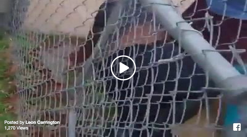 girls fighting over man