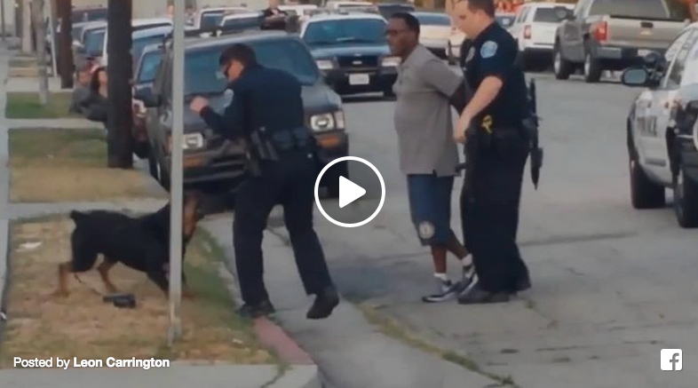 police shoot dog